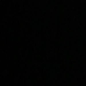 Meet your Posher, Bryson